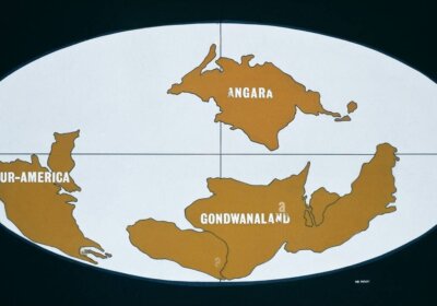 Gondwana Land: The supercontinent of the past