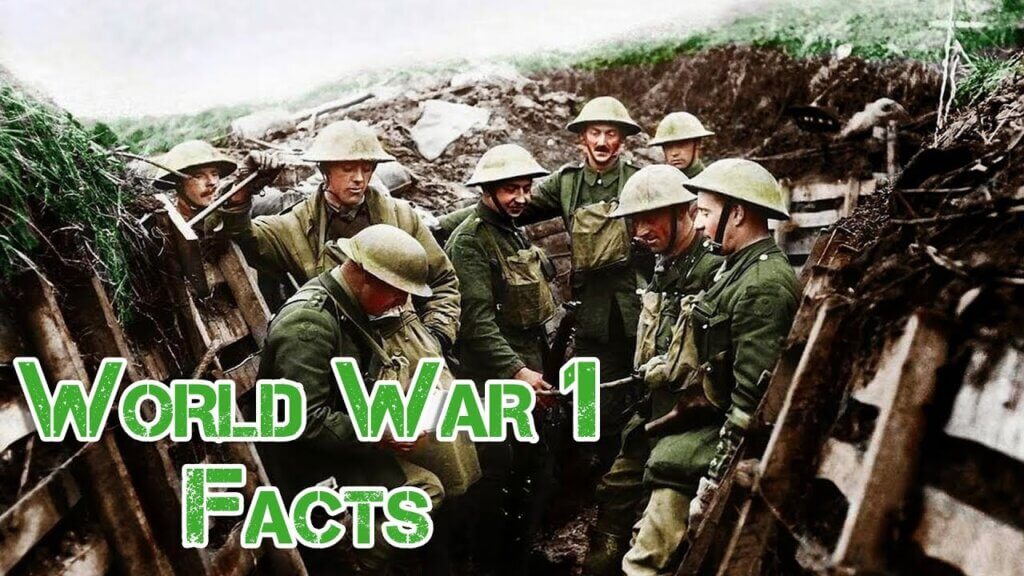 Why did the world went to world war 1?