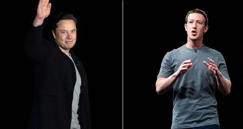 Elon Musk Mark Zuckerberg Cage Fight Delayed